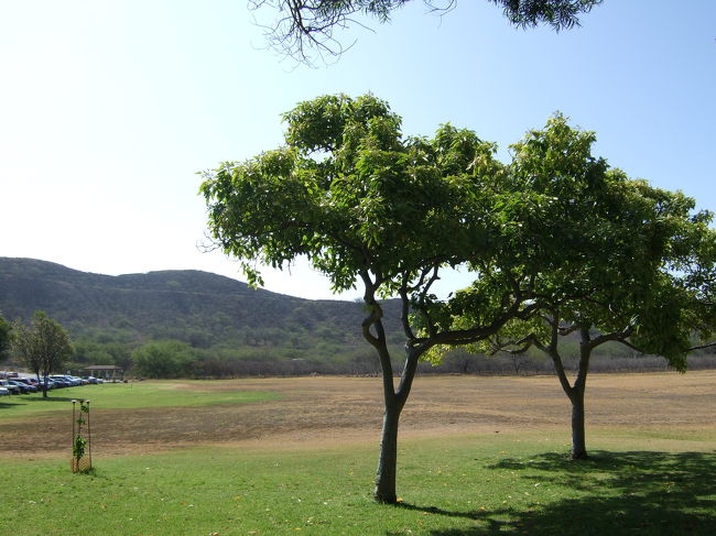 麓まで降りてきました。<br /><br />登山される方はお水を忘れず持って行ってください。