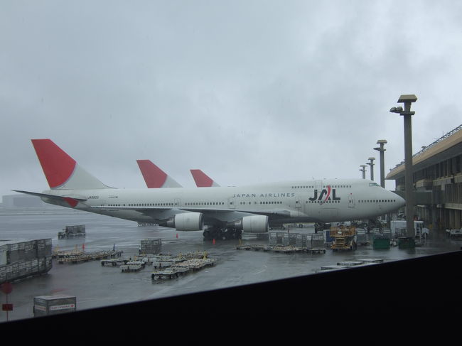 ツアーのみんなで空港へ。<br />ホノルル発の飛行機はウェブチェックインできないので、空港についてからチケットをもらいました。<br /><br />心配だったスーツケースの重量は…19.8キロ！！<br />ふぅぅぅぅ。。。<br />計る前にJALのお姉さんに持ってもらったら『！！う〜ん多分大丈夫だけどギリギリ？？』みたいな事を言われたので実際に計るとこの前にある計りで計ってみました（笑）<br /><br />事前に計る事のできる計りの横でスーツケースを開ける人がたくさん…<br />買っちゃうよねぇ。。<br /><br />写真はこれから乗る飛行機。<br />成田と関空行きもたしか一緒に並んでいたと思います。