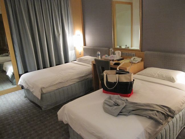 シンガポール　チャンギ空港ターミナル３のトランジットホテル。<br />チャンギ空港は、６年振り６回目。<br />特に見たい物もなかったので、ホテルでまったり。<br />６時間単位で区切られており、６時間＝SGD＄68.27。