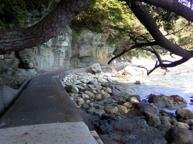 遊歩道は結構整備されているのですが