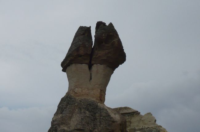 とにかく　見る岩が総て面白い形、　鉄分の多い岩は硬く、丈夫。　石灰石は風雨で侵食され、　様々な形になるそうです。