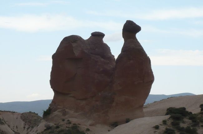 これは　らくだ岩　以前来た時も見ましたヨ。　けれど　この岩を見るために　駐車場やお店も出来ていました。　昔は道路の端に駐車して　”危ないです！　注意して！”　と言われながら見ました。