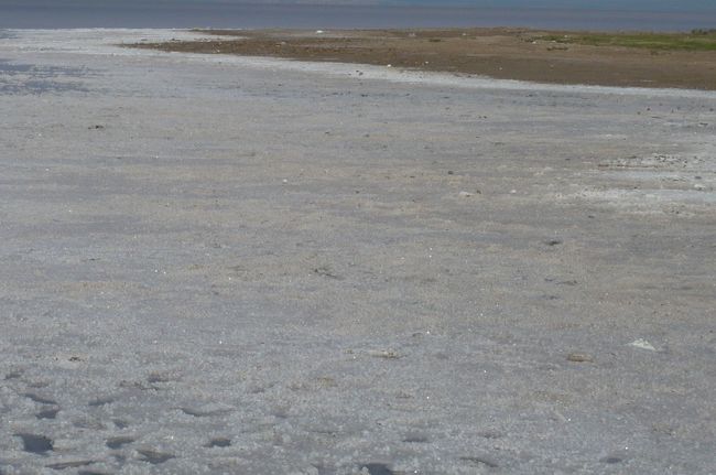 途中　トｳズ湖（塩湖）に立ち寄り、秋には真っ白な塩が見られるそうですが、　この時期は少しだけ。　この塩の不純物を除き、食塩に。