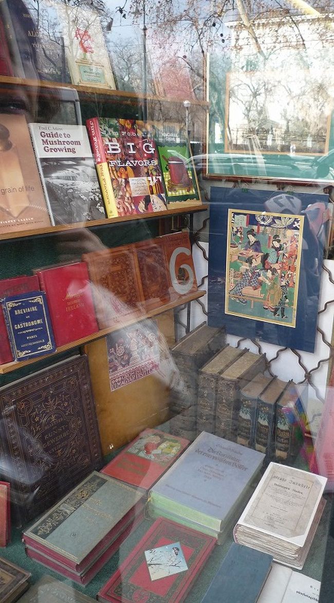 ブダペストの街並み。書店。