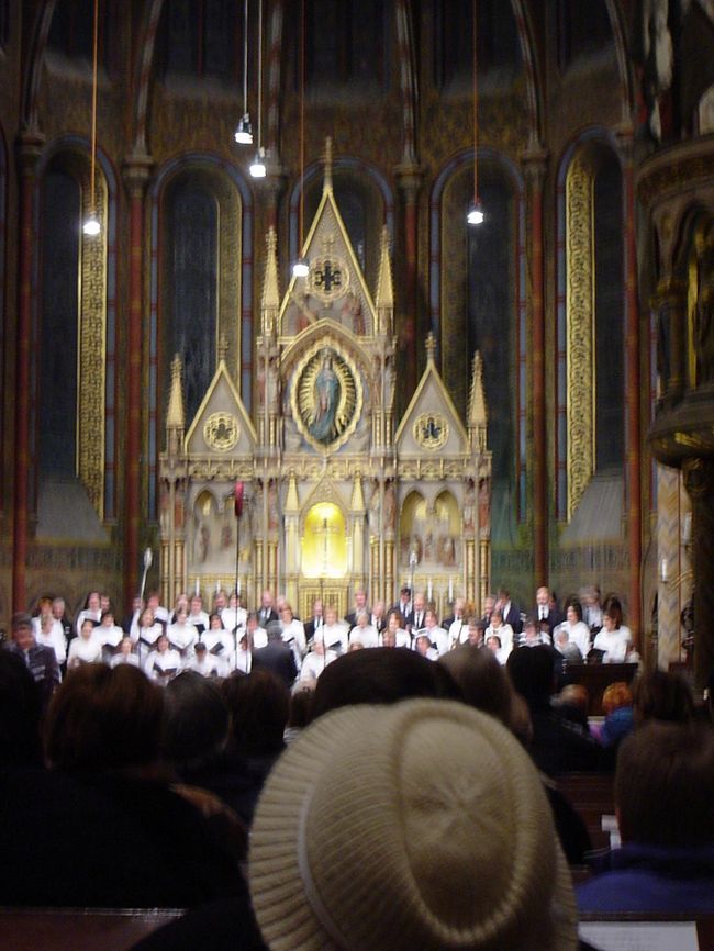 教会でコンサートがあったので聴いてきました。