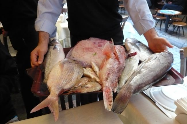 と　思っていると　今度は　籠いっぱいにお魚が・・・　どれがいい？　と<br />スズキ　アカムツ　などもあり、　一番大きな　カレイ（？）　ヒラメ（？）　美味しそう　　でも・・・大きすぎ！<br />コブカレイだそうです。　これが美味しそうだけど、　二人だし、無理、　大きすぎる、と言うと　大丈夫。　半分OK!　ヒレや頭を除くと、二人で　OK！　だと。