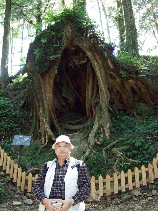 解説付け出来ないので。。。