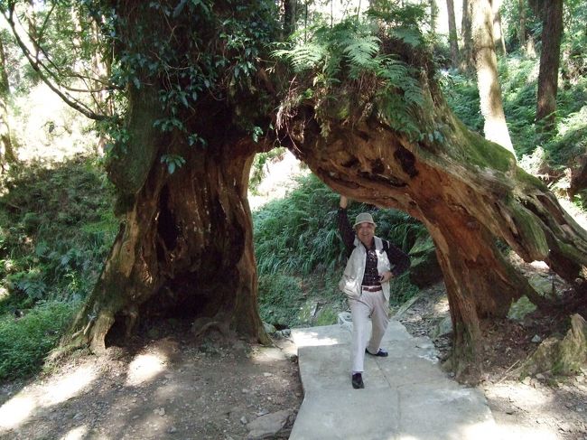 ご自由にご覧下さい。