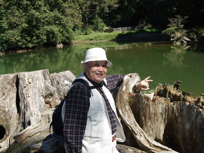 あら・・・、腕を木の穴に入れてたんですね。