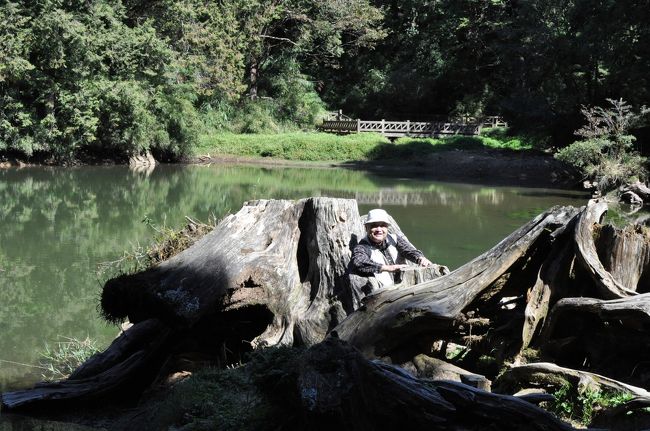 カメラ兄ちゃんのNikon D90で。<br />色が変だなぁ・・・<br />設定が出来てないような気がします。