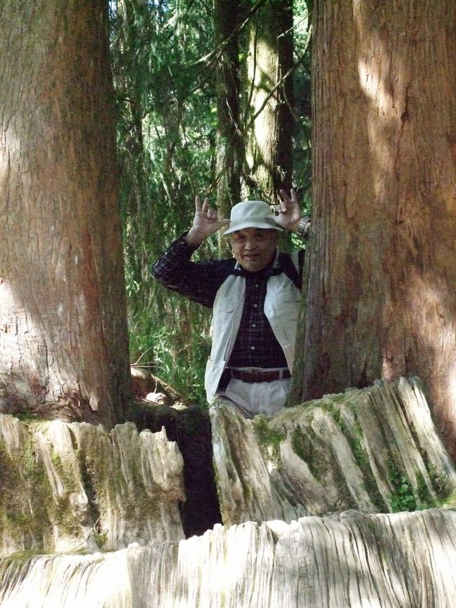 FujiのF50fd、どのポジションで撮影しているのでしょう・・・<br /><br />ちょっと暗さが感じられた時、ISO-1600で写してしまうんだって。。。<br />粒子が粗くなりすぎです・・・