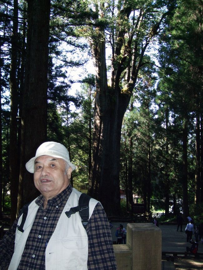 何を意図して撮って居るのか判らず載せています・・・