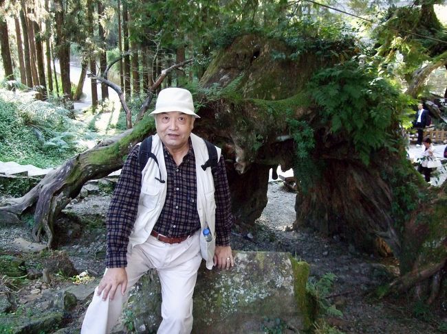 似てると思ったら別物ですし。。。<br /><br />すばらしい！