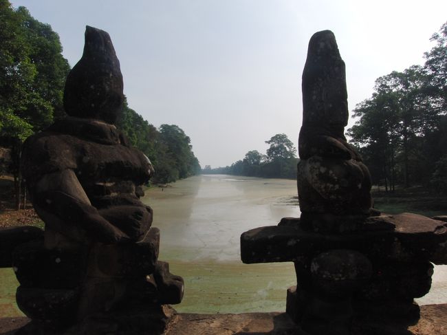 切れ目から、<br /><br />川が見えます。