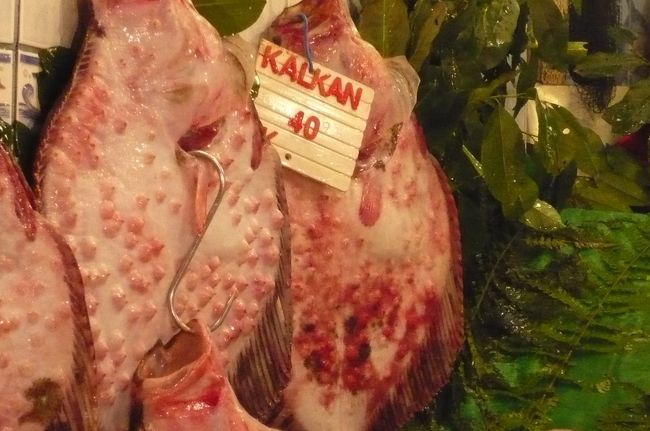 レストランを出ると、魚屋さんが沢山　軒をならべて、　その中でも　堂々たる姿の　コブカレイ、　５０〜６０cmはあります。