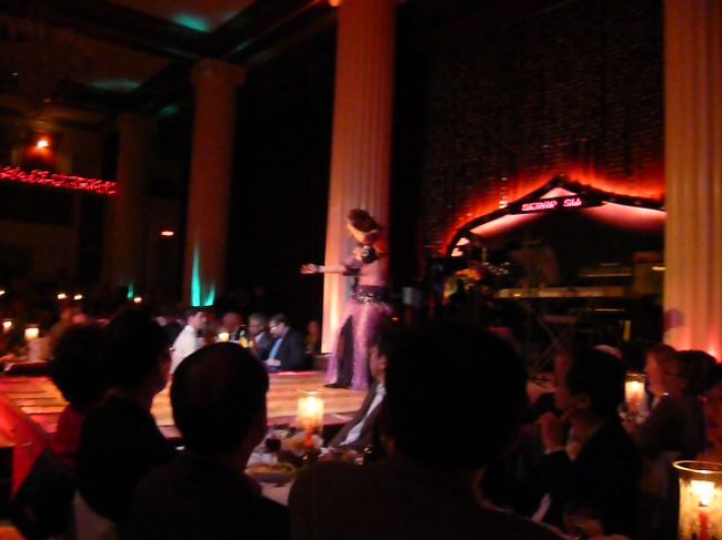 昨日　ホテルに着いてすぐ、　コンシェルジェに友人への絵葉書をお願いし、　更にキャラバンサライでのベリーダンスショウ　を頼んであったので、時間少し前にでかける。（ホテルの隣）　ドリンクのみで、６０ユーロ（ドルだと９０、リラでは１２０）