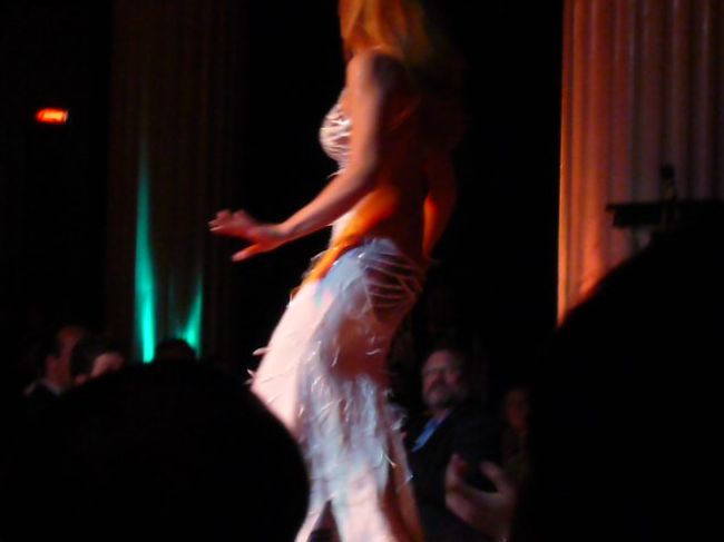 ３番目の方は　トルコでも　有名なダンサーと言われている人、　さすがに　上半身　下半身ともに　無駄な動きが全く無く、素晴らしいダンスでした。　<br />私は以前　イスタンブール、カイロ　でも観ましたが<br />　今回　特に彼女のダンスが最高でした。