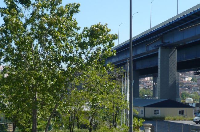 市内では　マロニエの大木のぎっしりと純白の花がさいていました。　本当にシャンデリアみたい。