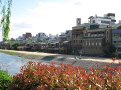 三条駅を地上に出ると鴨川。
先斗町あたりが見えます。
京都の夏の風物詩、川床でのお料理がいただける季節なんですね〜

次はちゃんとした旅行で来て、床席で懐石をっ！
