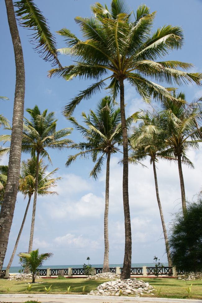 チャウンターでは何もしませんでした。<br />散歩したり、昼寝したり、ビールを飲んだりして、2日間を過ごしました。<br />夜に、あるレストランで食事をしていたら、ミャンマー人の店長さんが話し相手になってくれました。<br />こちらが「そんなこと話していいの?」と心配になるくらい、批判も含めてミャンマーの政治や経済の状態を話してくれました。<br />詳しい話は書けませんが、彼の「ミャンマーの未来は暗い」という言葉が印象に残っています。<br />日本を含めて、世界で問題を抱えていない国はないとは思うのですが、この国はいろいろ深刻なようです。<br />話がはずんで、ビールをたくさん飲んでしまいました（笑）