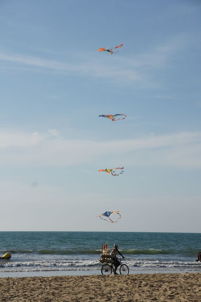 凧売りの人だろうか・・・?<br />自転車で元気に走り去って行きました。