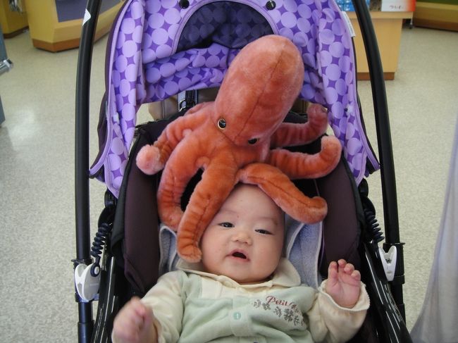 子連れ旅 城崎温泉 西村屋ホテル招月庭の旅 おまけのマリンワールド 城崎温泉 兵庫県 の旅行記 ブログ By ヒデチさん フォートラベル 子連れ旅 城崎温泉 西村屋ホテル招月庭の旅 おまけのマリンワールド 城崎温泉 兵庫県 の旅行記 ブログ By ヒデチさん フォートラベル