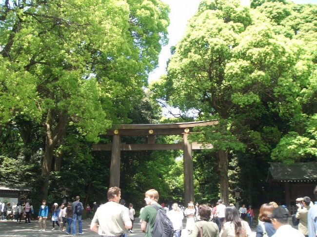 ＪＲ山の手線原宿駅下車。<br />明治神宮の鳥居です。<br />新緑の５月！って感じでしょ！<br />今日の目的はＴｈａｉなので参拝はせずに失礼致します。