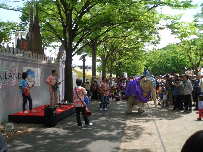 すごいすごい！<br />現地から？動物園から？ゾウさんを借りてきたんですよ！<br />素晴らしい演出！