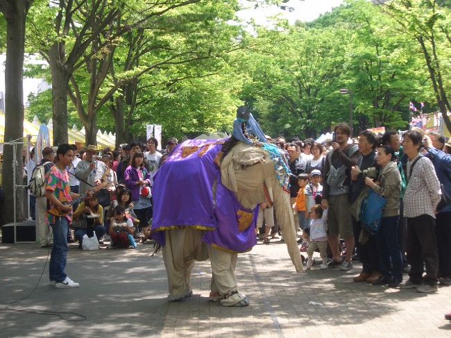 と思ったら、布でできたゾウさんの中に人が入っておりましたとさ。<br />（まあ、良しとしましょう）