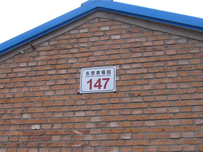 北京市内からバスで４０分程度、イチゴ農園に到着。<br />