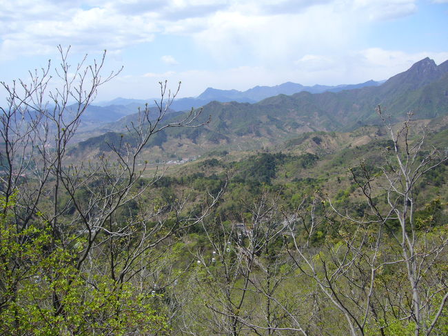 途中ひたすら階段で登ります。<br />何百段あったんだろ！？<br />息切れするので、何度も何度も休みながら、自分にはっぱをかけながら登りました。