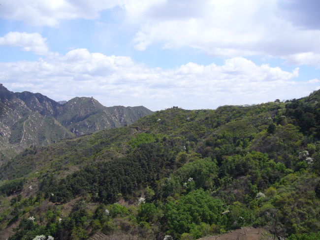 登って登って・・・