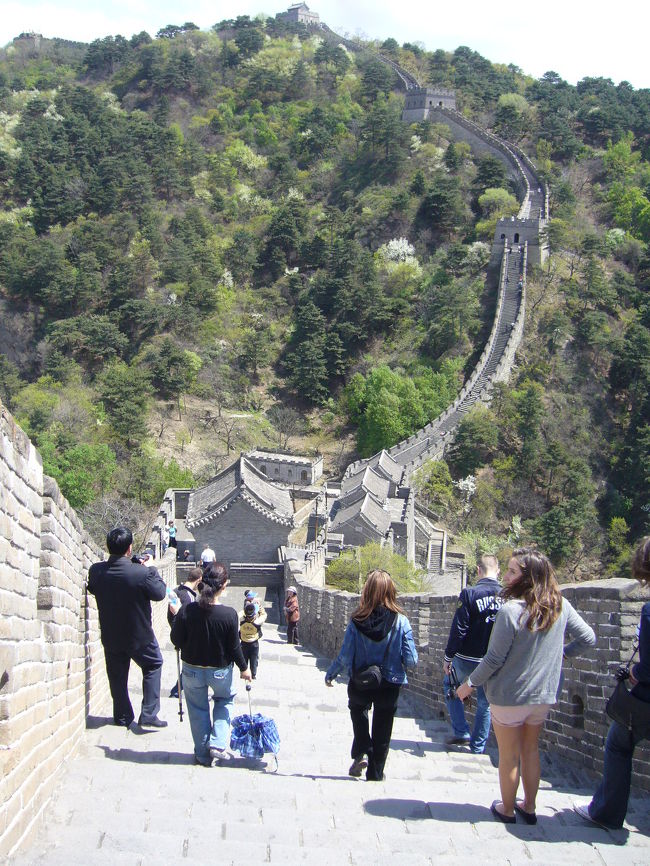 中には下るのが怖いほど購買が急なところもあります。足がすくみそうです。