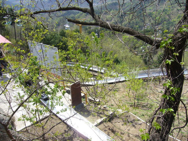 行きがへばったので、帰りはロープウェーか滑り台も。<br />私たちは滑り台ですい〜っと下って行きました。<br />早いけど、最初は怖く、慣れてくると背中が痛い・・・<br /><br />でも滑り終えるとあっという間。面白い体験です。