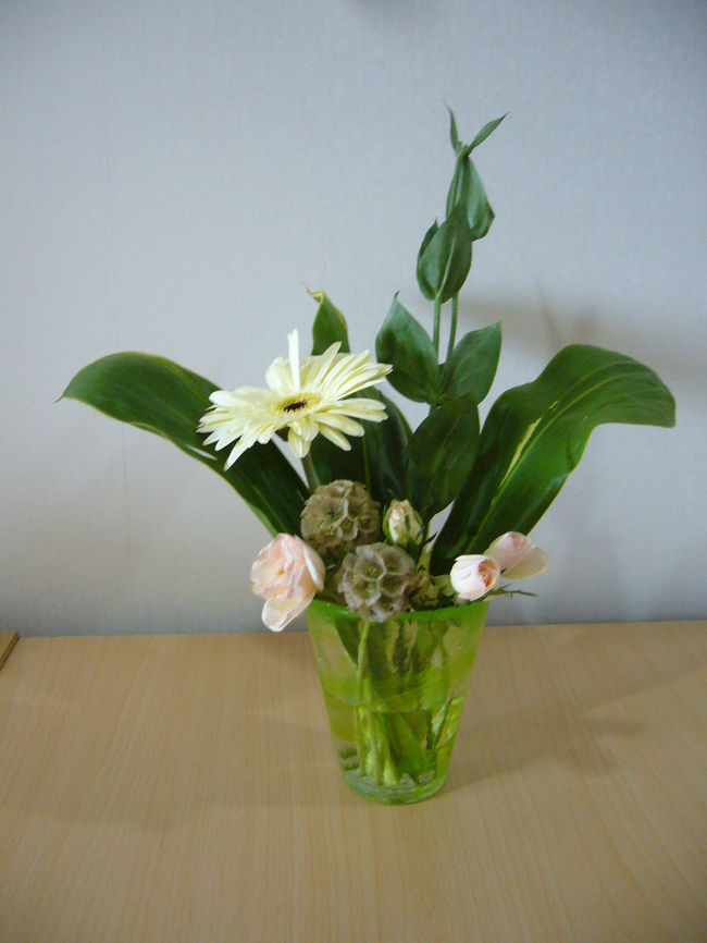 ほんとのおまけ<br /><br />トイレの後は植物で癒されてください