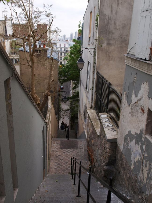 Passage Cottinを下る