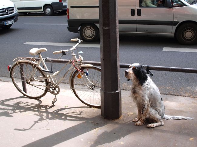 バスティーユ周辺からリヨン駅に向けて散歩です。