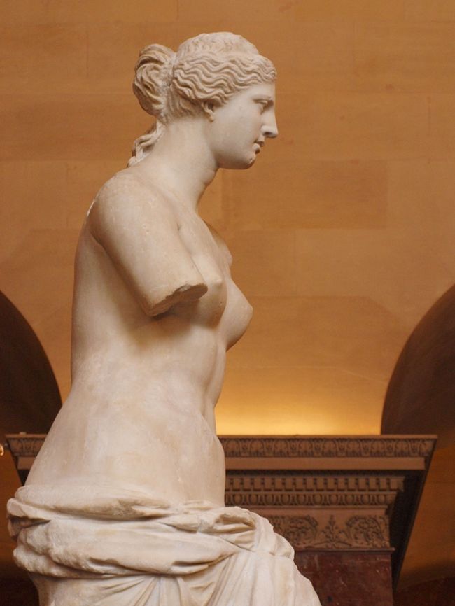 せっかくなので、いつもあまり見慣れない角度からもゆっくり鑑賞しました。