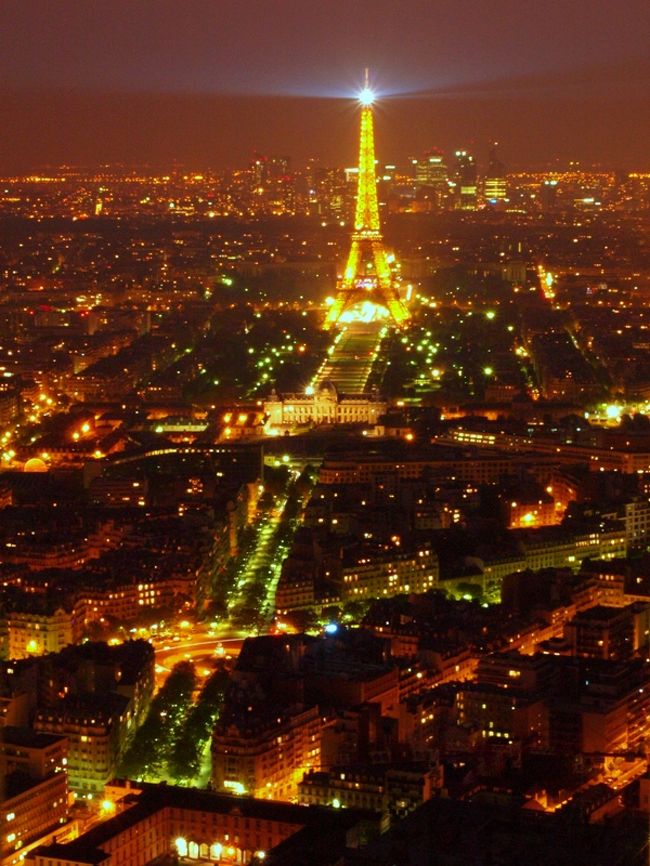 パリに来た実感を胸にしたためておきたいのに、ここでもまた中国人の集団数十人が来襲！静かになるまで極寒の中待ちました…。<br />ロンドンもそうだったけど、ヨーロッパの夜景はアジアやアメリカの大都市と比べて断然暗いようです。デジカメのオートフォーカス機能では全然ピントが合いません…。