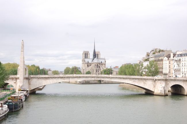 世界アラブ研究所へは歩いて行ける距離だし、残りのメトロ切符が足りるので時間はあるしセーヌ川沿いを歩く。<br /><br />しかし、フランスというのは極端だというのがわかった。街は上から見ると美しいが、実際足元にはゴミや汚れが目に入る。ちょっと住むには厳しいなと感じた。<br /><br />世界遺産にもなっているセーヌ河沿いやパリの始点シテ島を通り、20分くらいで目的地へ。