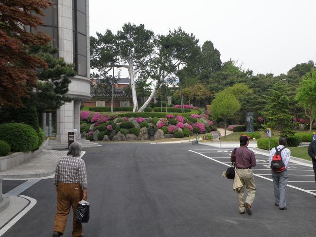 ここは憲法裁判所の敷地内、李さん受付で「チワッス」くらいで中にはいると、「白松」があった<br />赤松、黒松、唐松、おそまつ、ちょろまつ、は知っているけど、「白松」は始めて<br />それにしても「チワッス」で「憲法裁判所」に入ってしまって<br />いいものか