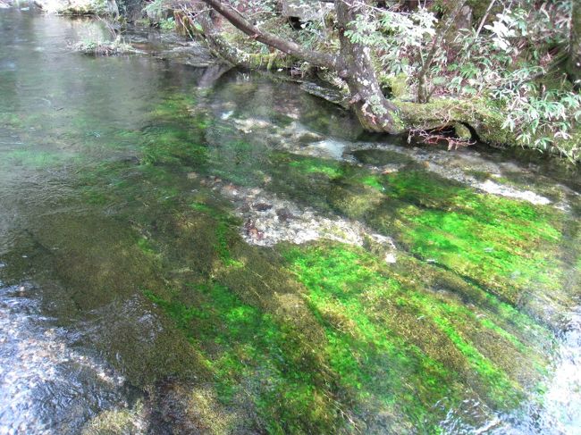澄んだ水の流れ