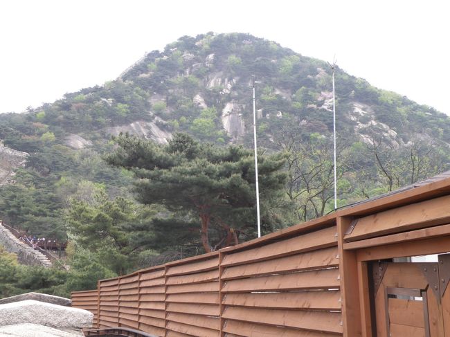 右の塀の裏側はみられては困る軍事施設やっとここまでおりてきた、ひざがガクガク高笑いしている。<br />無事でよかった