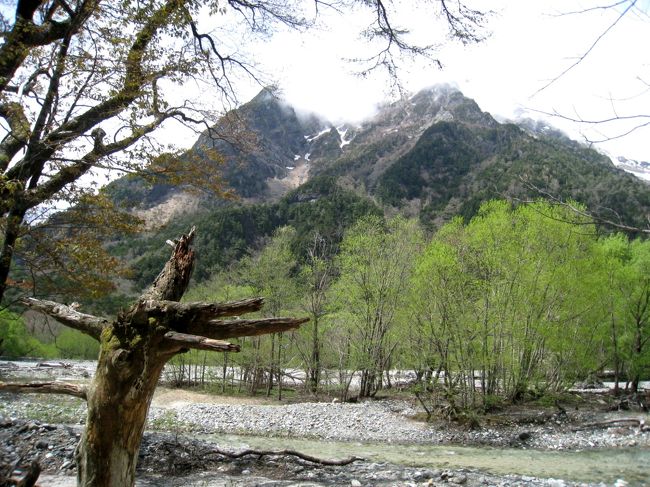 うんうん、ここもいい眺めだわ！