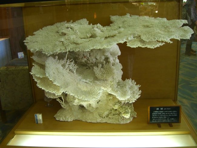 ホテルの玄関には、こーんな大きな珊瑚がっ！