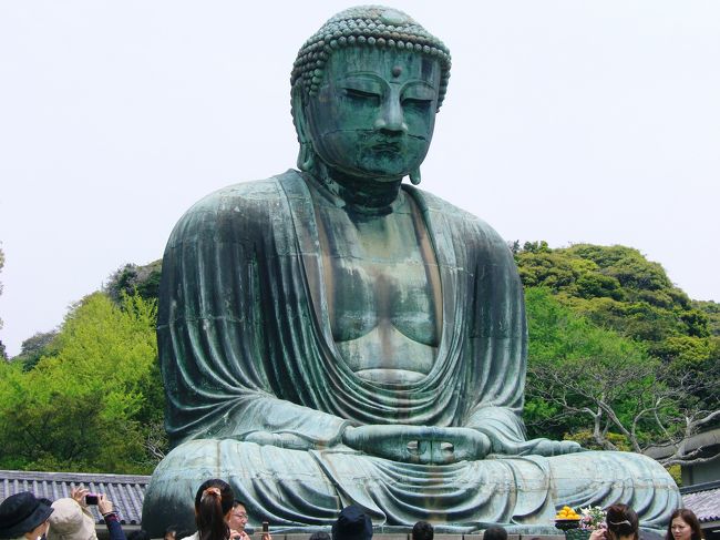 お〜〜　鎌倉大仏さまだ！<br /> はじめましてm(__)m<br /><br />こちらの大仏さまは美男の誉れ<br />高いのだそうです。　そっか〜