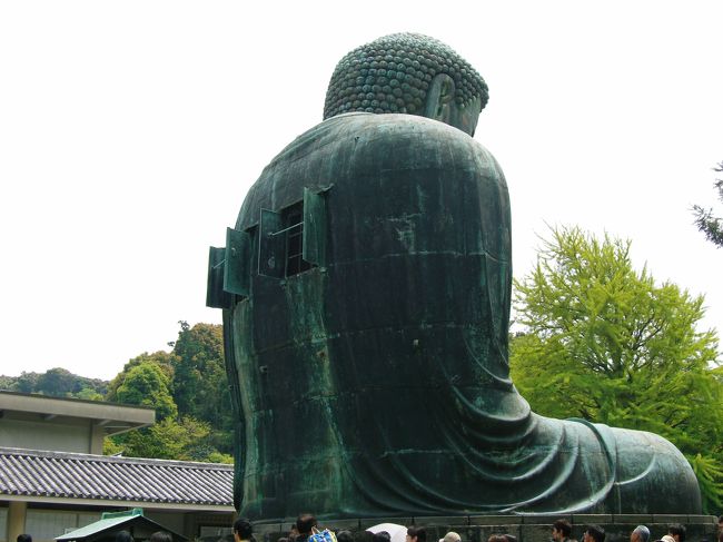 「少し猫背で寂しそうな背中だね」<br />　と、猫背の主人がノタマウ^^;<br /><br />真面目に少しお勉強<br />台座を含めると高さ13.35ｍ　重さ121ｔ<br />大仏殿に安置され全身金箔で覆われていたが<br />洪水などの天災で建物が崩壊。<br />室町時代には現在の露座になったそうです。