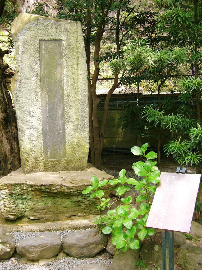 　与謝野晶子の歌碑<br /><br />　　　　かまくらや<br /> みほとけなれど　釈迦牟尼は<br />　美男におわす　夏木立かな<br /><br /> 　　※歌碑建立は1952年<br />