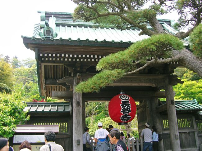 　長谷寺<br /><br />高徳院(鎌倉大仏)から歩いて５分ほど。<br />が…アチコチ足が勝手に向くものだから<br />　３０分以上もかかっちゃいました^^;