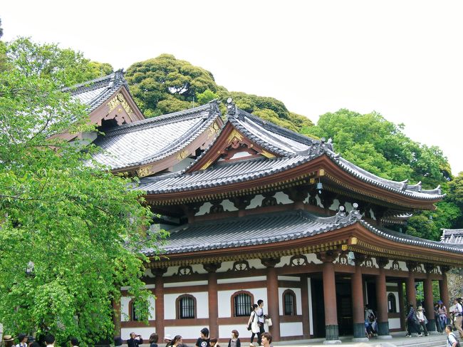 　本殿(長谷観音)<br /><br /> 十一面観音菩薩像が安置されています。